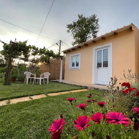 Vasiliki Little House Villa Kanoni  Exterior photo