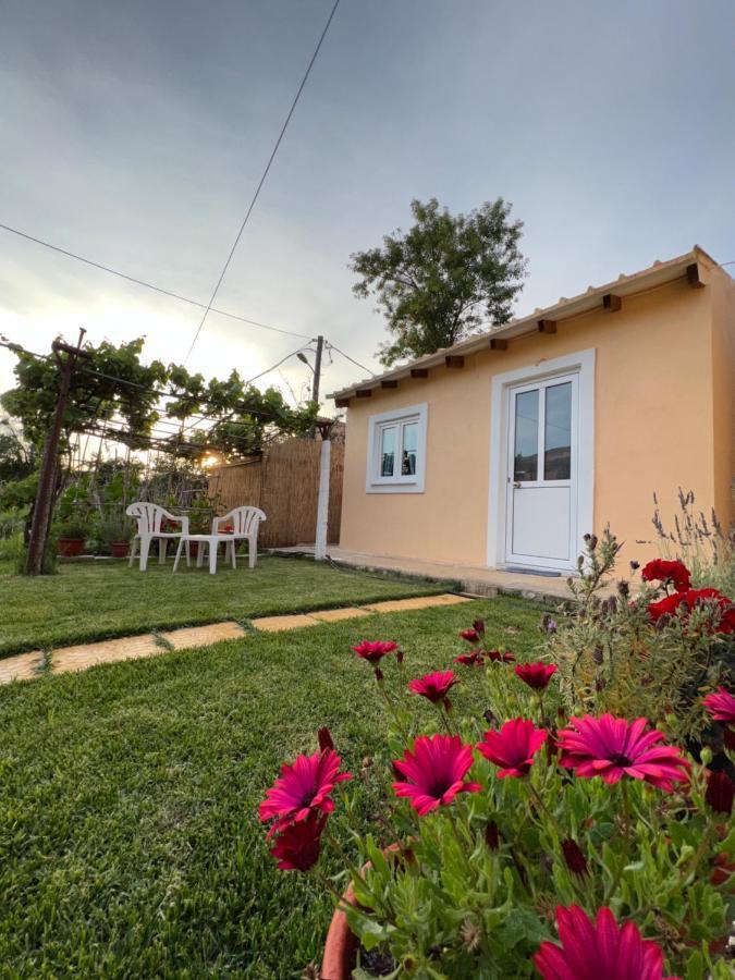 Holiday home Vasiliki Little House Kanoni (Corfu)